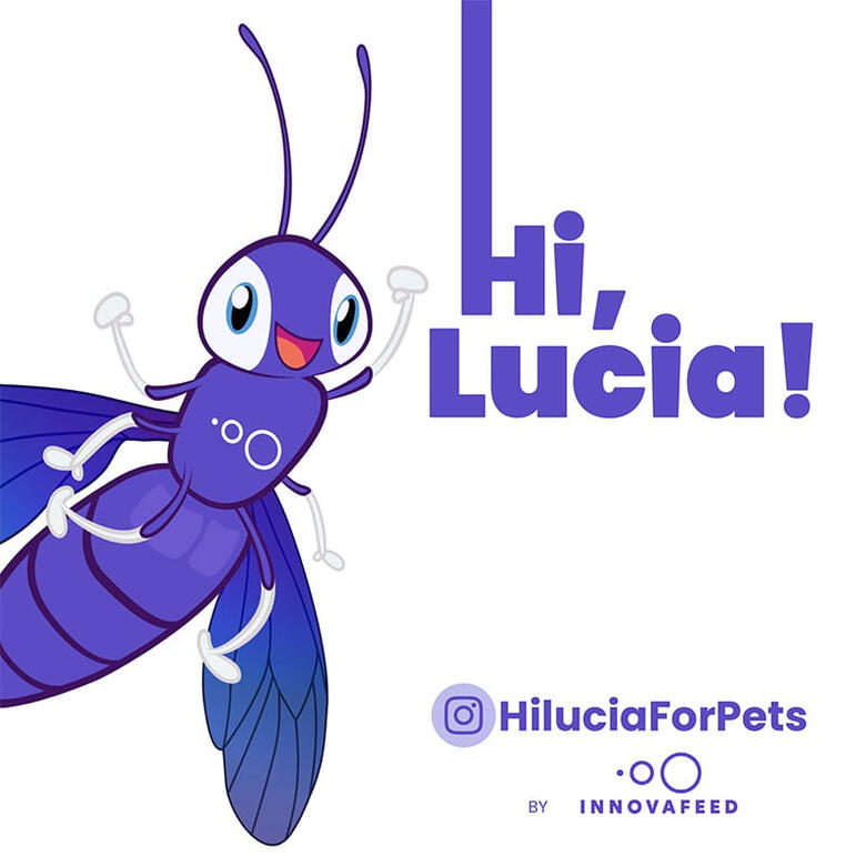 HILUCIA FOR PETS