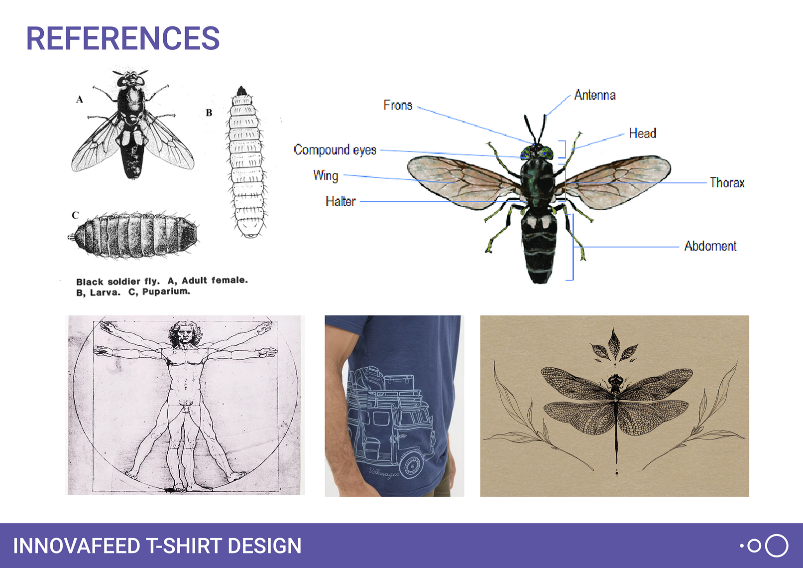 INNOVAFEED SHIRT 2 INNOVAFEED SHIRT 2