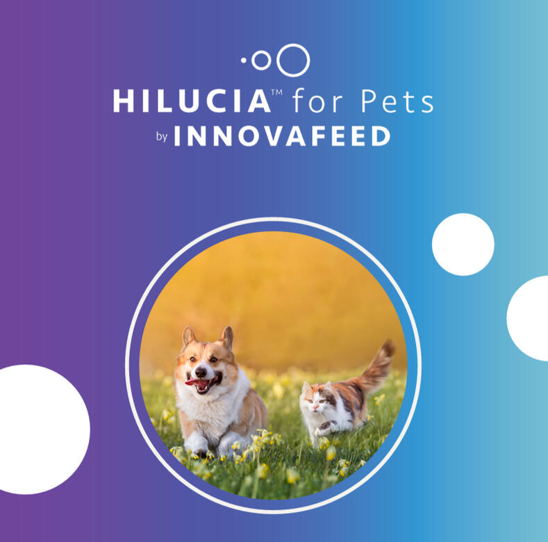Hilucia™ for Pets Booklet